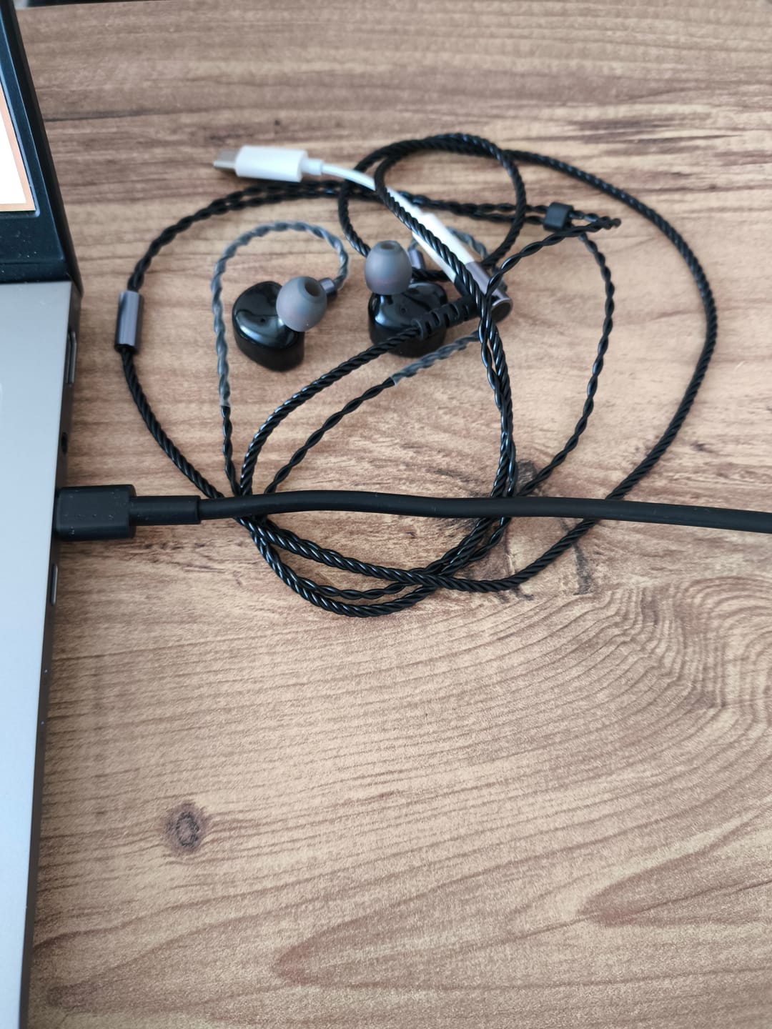 Customer photo review of Kiwi Ears Cadenza IEM Kulaklık