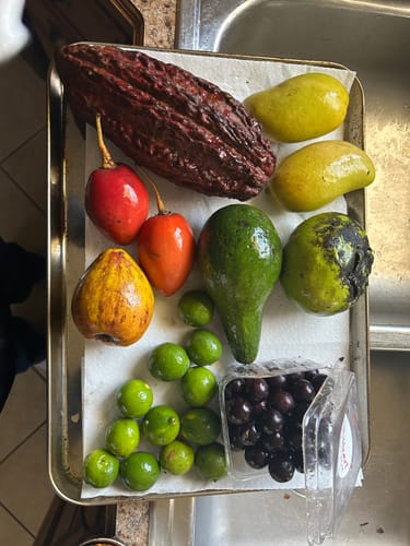 Customer photo review of Tropical Variety Box