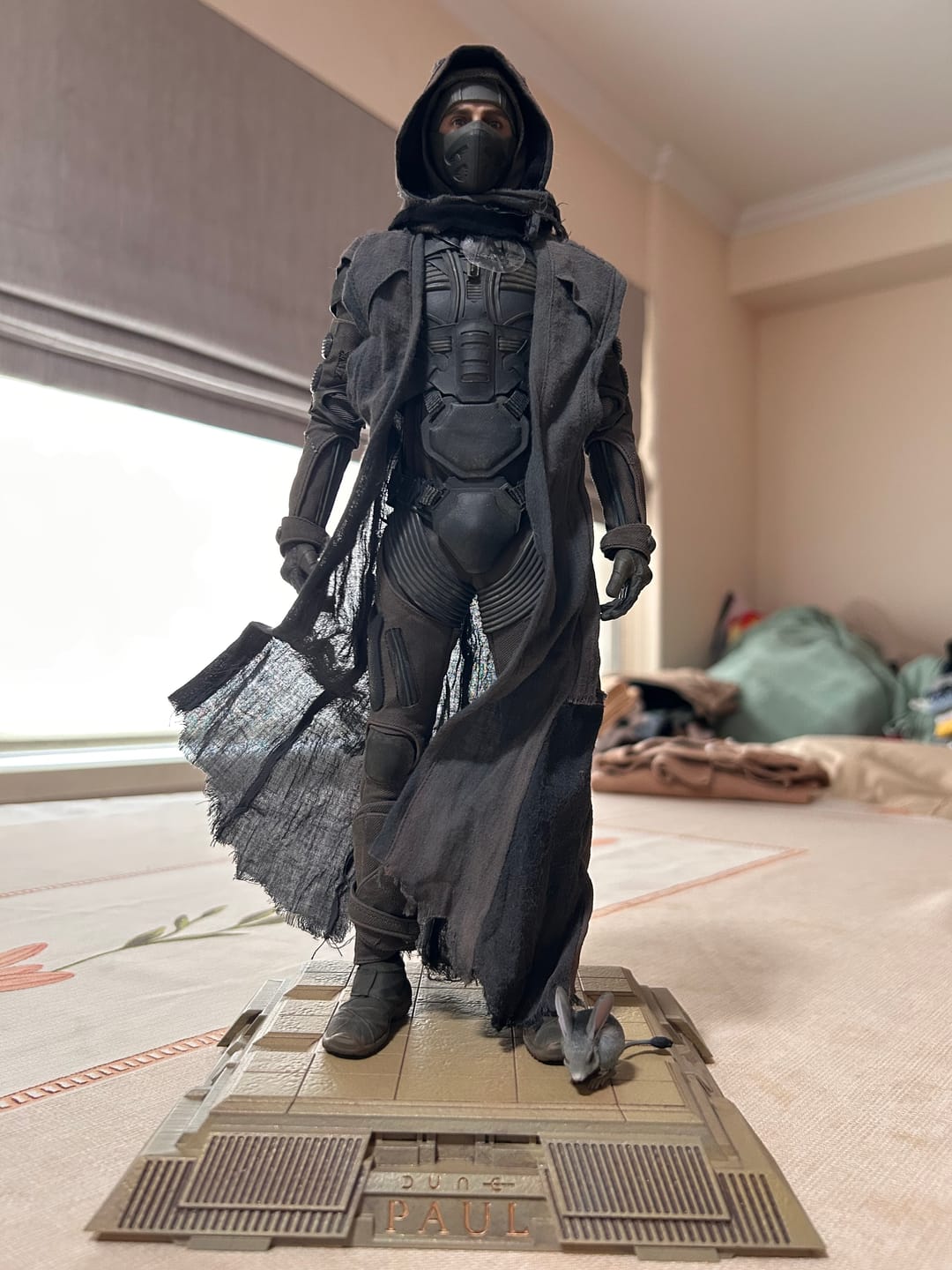 Customer photo review of Paul Atreides 1/6 Collectible Figure  - Standard & Deluxe Version