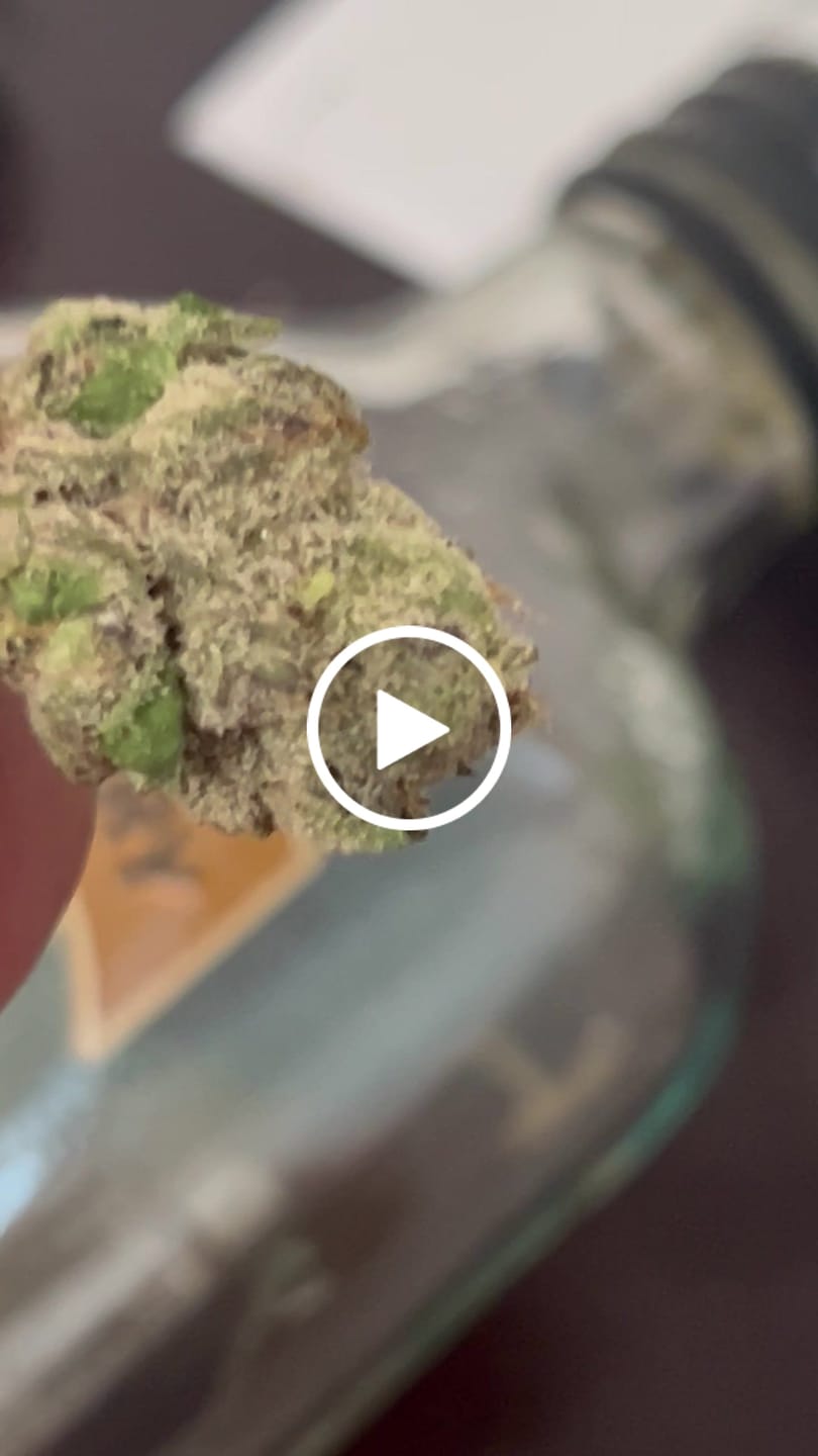 Customer video review of Boutique Exotics - Obama Runtz - 14 Grams - Hybrid