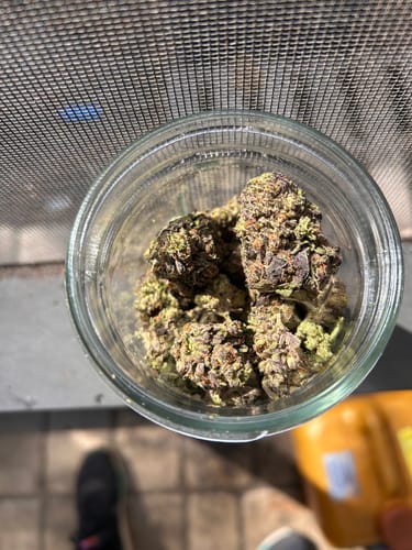Biscotti 33 - Bulk - Indica photo review