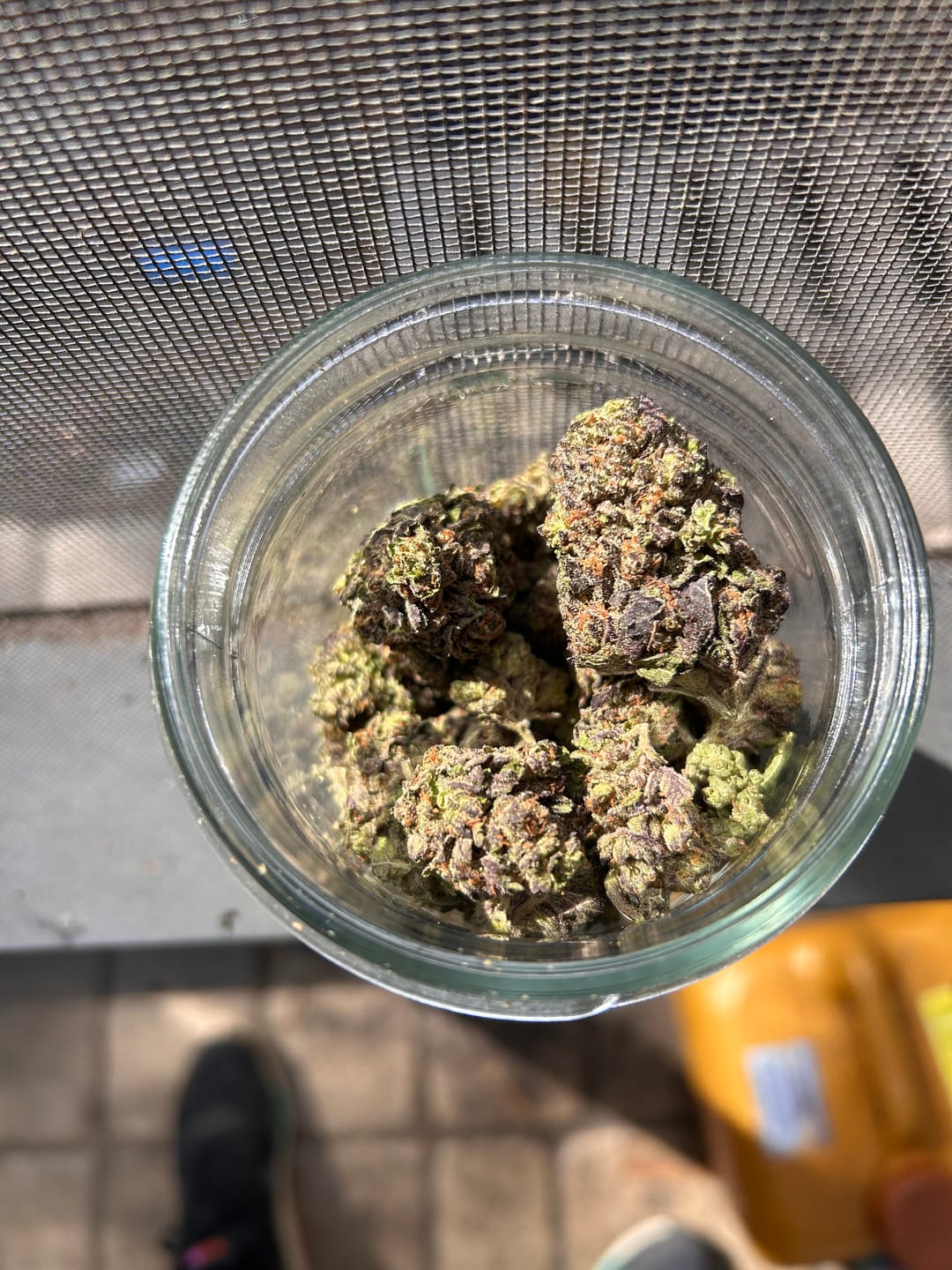 Customer photo review of Biscotti 33 - Bulk - Indica