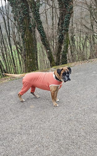 Customer photo review of Body Arti Posteriori