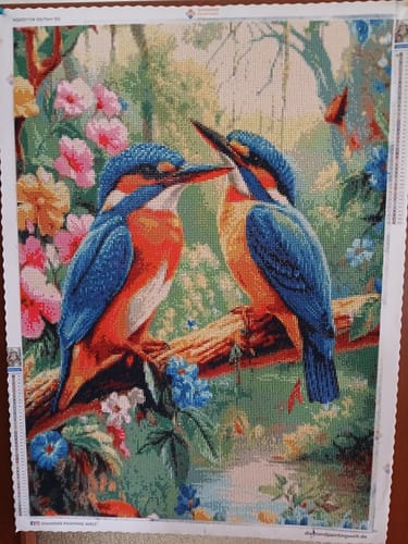 Kundenbewertung mit Foto zu 2 Eisvögel