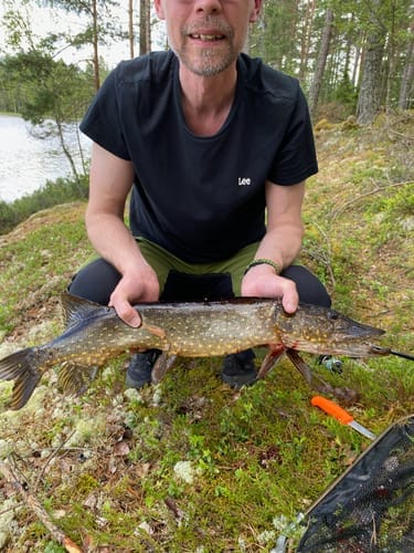 Customer photo review of HyperDraget - Ta vårfisket till nästa nivå