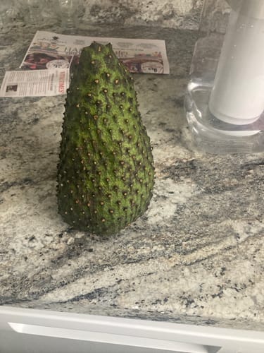 Customer photo review of Soursop