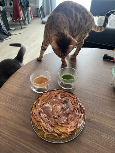 Customer photo review of EQ Glass Set