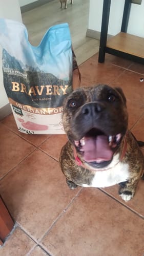 Customer photo review of BRAVERY IBERIAN PORK ADULT|Perro Adulto Raza Mediana y Grande Cerdo Ibérico 12 kg