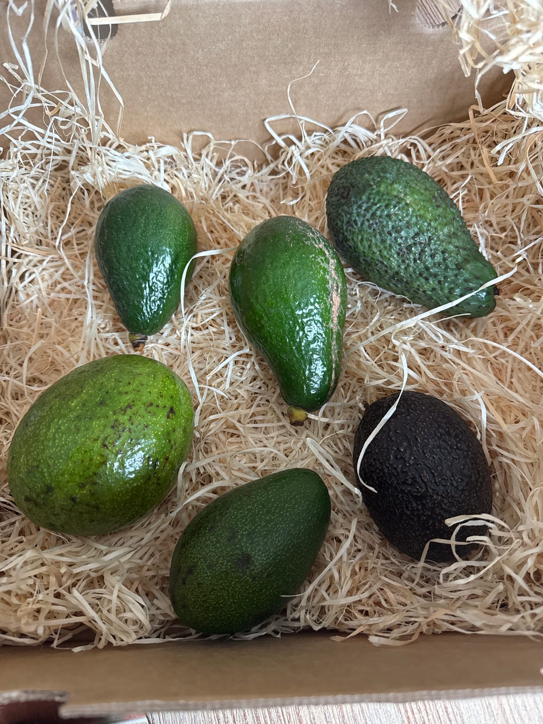 Customer photo review of Avocado-Mix Sonderaktion % 2kg Box