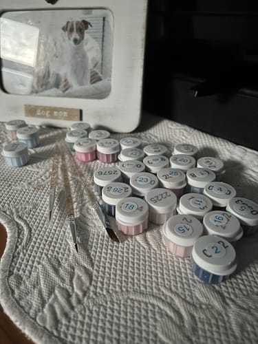 Customer's Custom Kit | Paint by Numbers with numerous numbered paint pots and three fine-tipped brushes laid out.