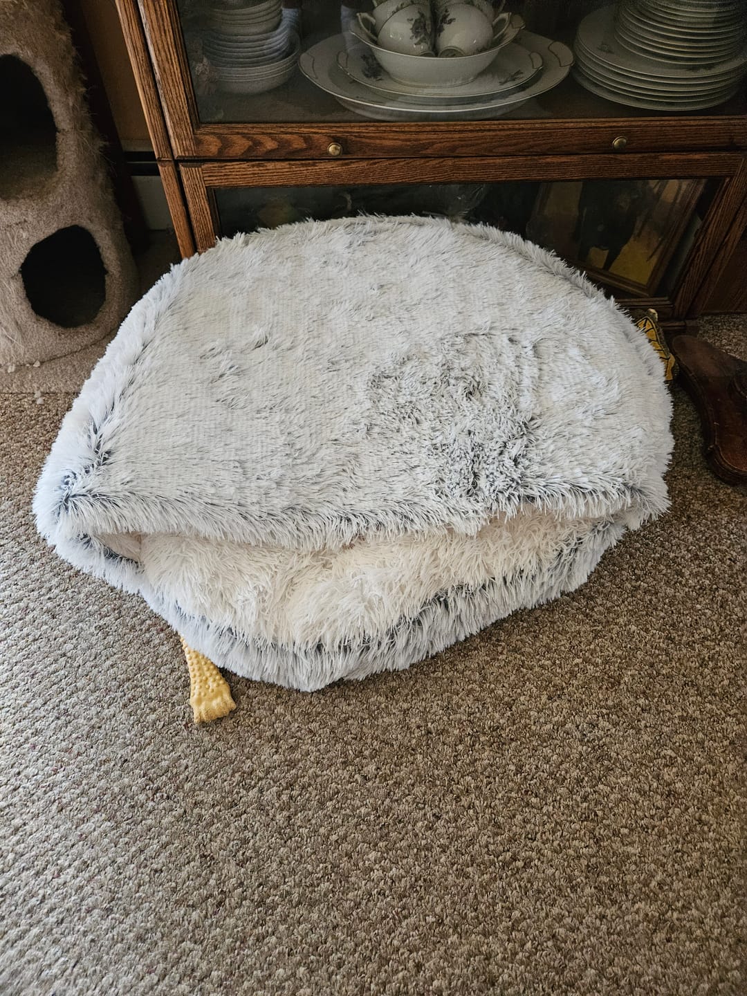 Customer photo review of The Dachshund Den™: The Only Bed Engineered for Your Badger Dog’s 300-Year-Old Instincts.