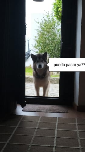 Customer photo review of Aceite de Salmón