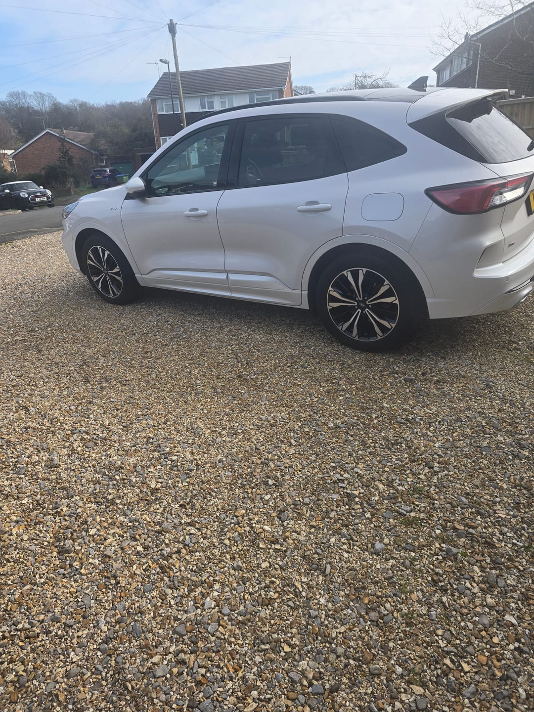 Customer photo review of The Apex Warrior Kit