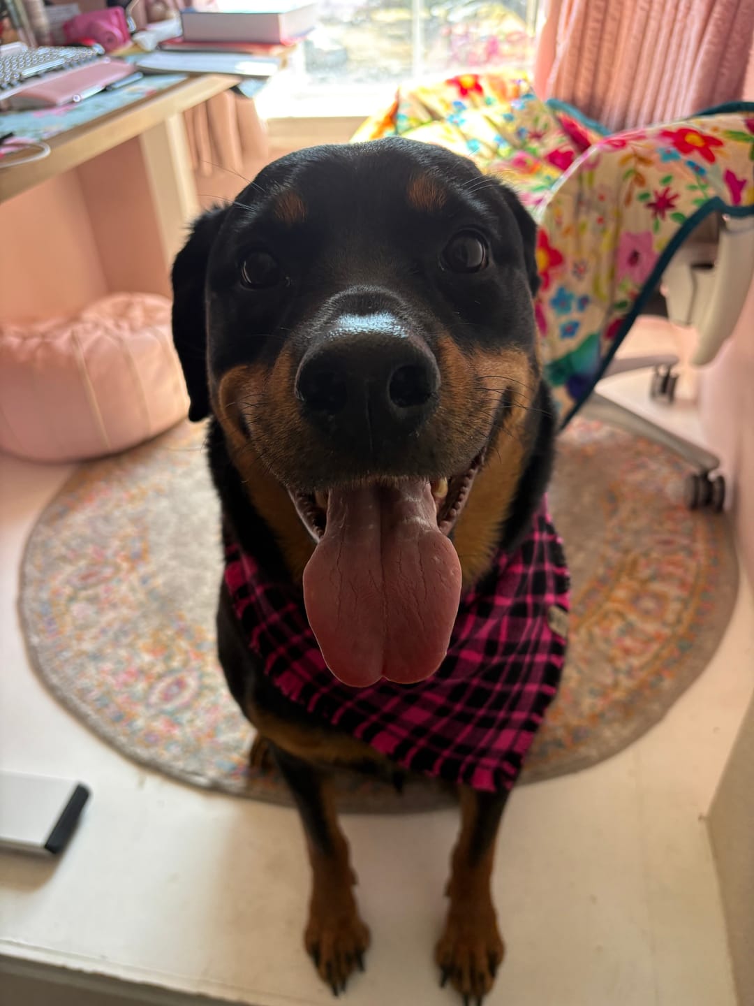 Customer photo review of Swan Island Frayed Snap-On Bandana | Pink and Black Plaid
