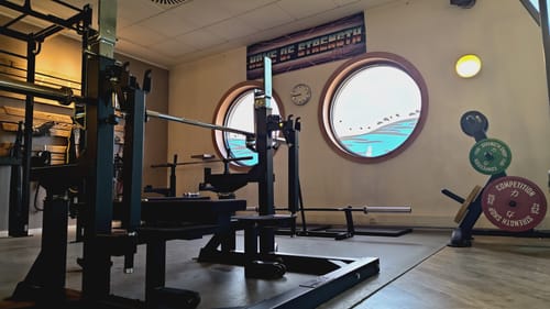Reviewer's Strength Shop Calibrated Plates on a weight tree next to a combo rack in a gym setting.