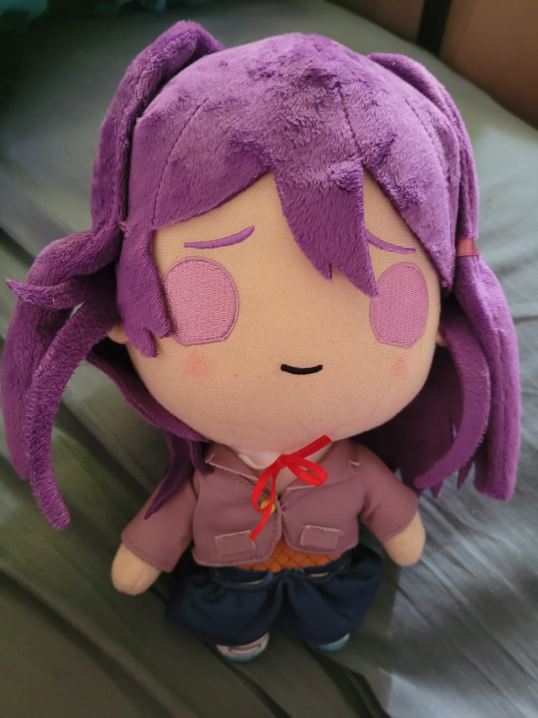 Customer photo review of Doki Doki Literature Club - Yuri Collector's Plush