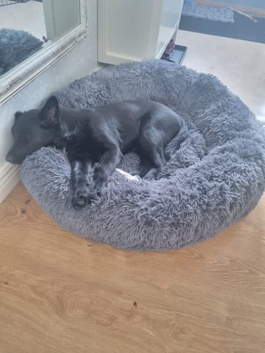 Customer photo review of CalmBed - Motverkar stress & hjälper mot ångest