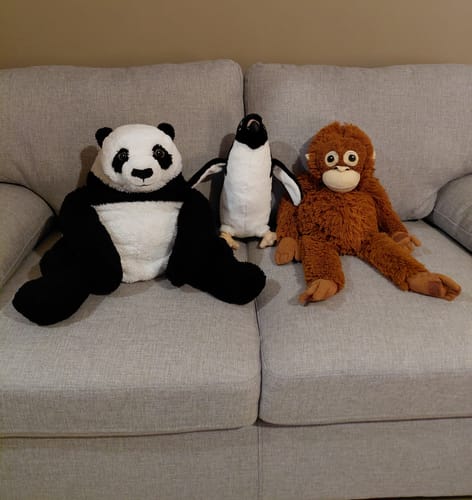 Customer photo review of Adélie Penguin Bird Soft Stuffed Plush Toy