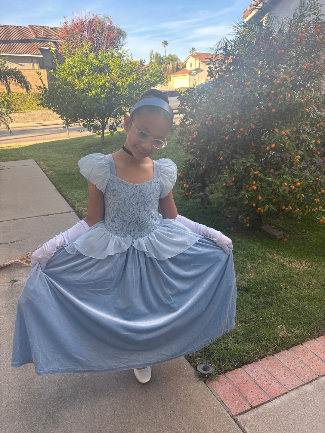 Customer photo review of Portrait Collection Cinderella Gown