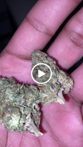 Customer video review of Blue Mamba Outdoor THCA