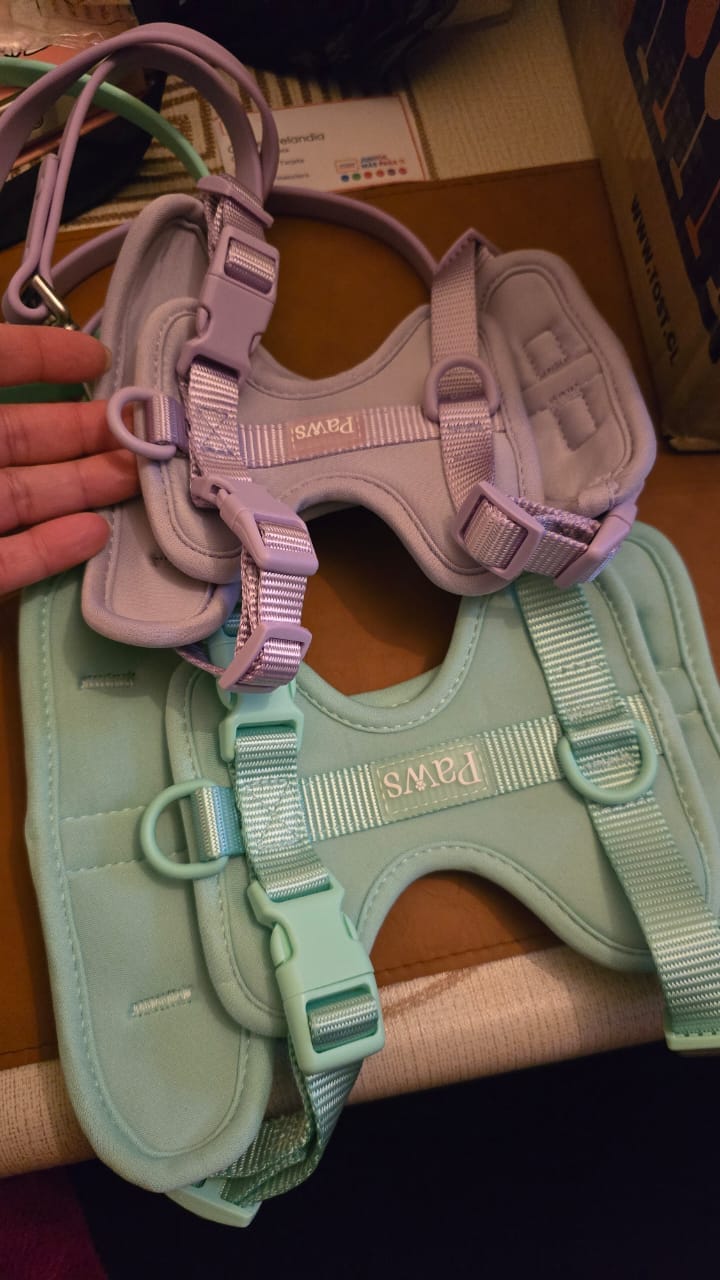 Customer photo review of Arnés Paws