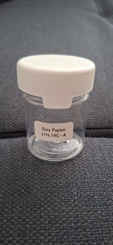 Rollz DE Bewertungen - 3,965 Bewertungen | rollzgermany.de