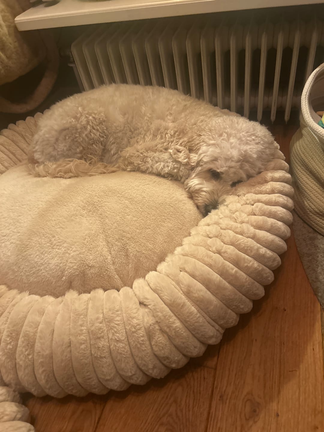 Customer photo review of Pet Perfect Hoes (ENKEL HOES) voor Orthopedische Donutmand - ZONDER VULLING