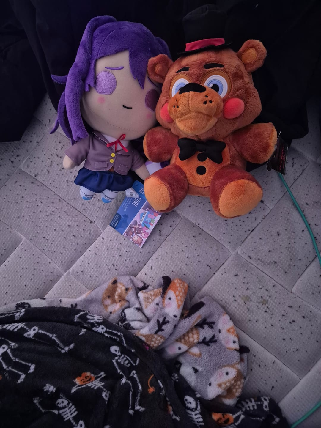 Customer photo review of Doki Doki Literature Club - Yuri Collector's Plush