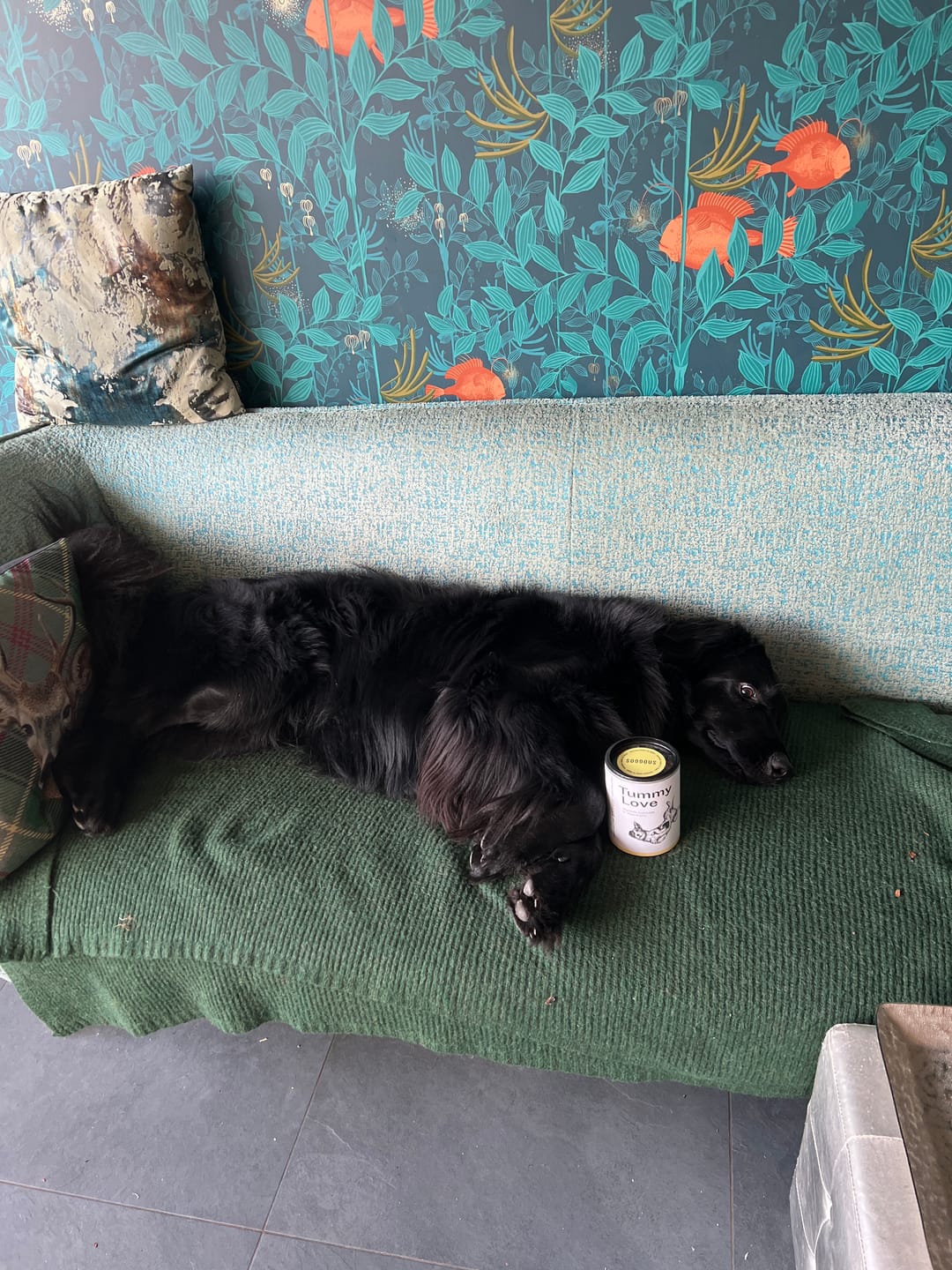 Customer photo review of Snacks für Magen & Darm