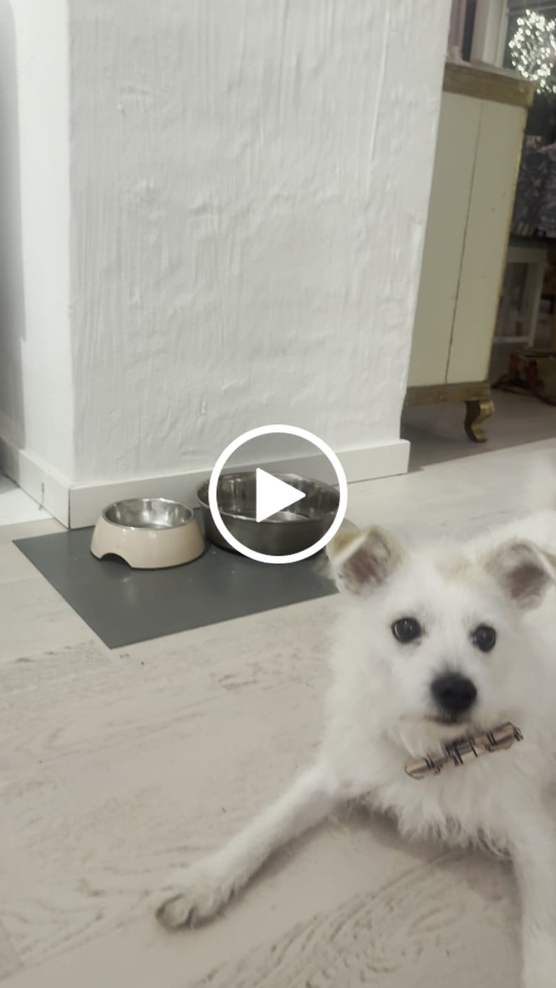 Customer video review of Fluga - Flower Power