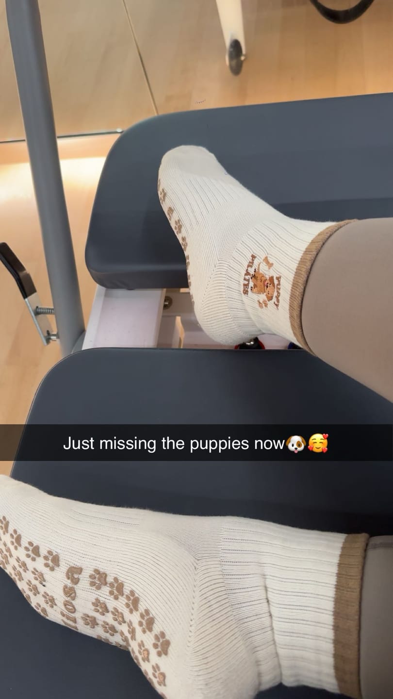 Customer photo review of Puppy Pilates