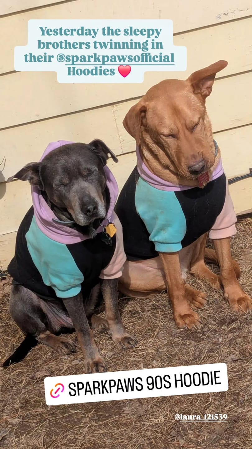 Customer photo review of Cyber Punk Human Hoodie
