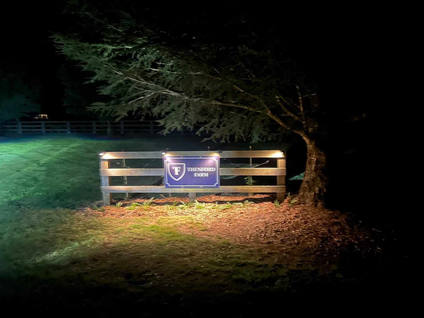Customer photo review of GardenBrite™ Solar Spotlight Pack