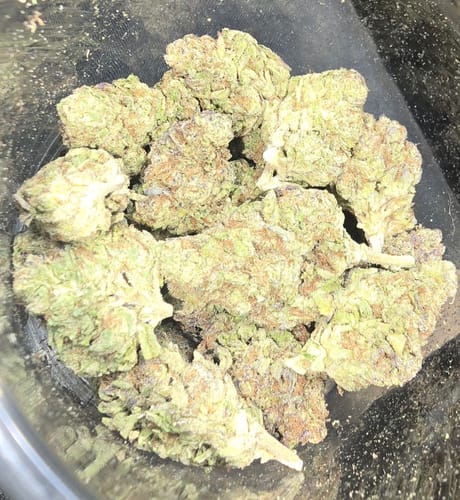 Customer photo review of White Gushers - Bulk - Hybrid