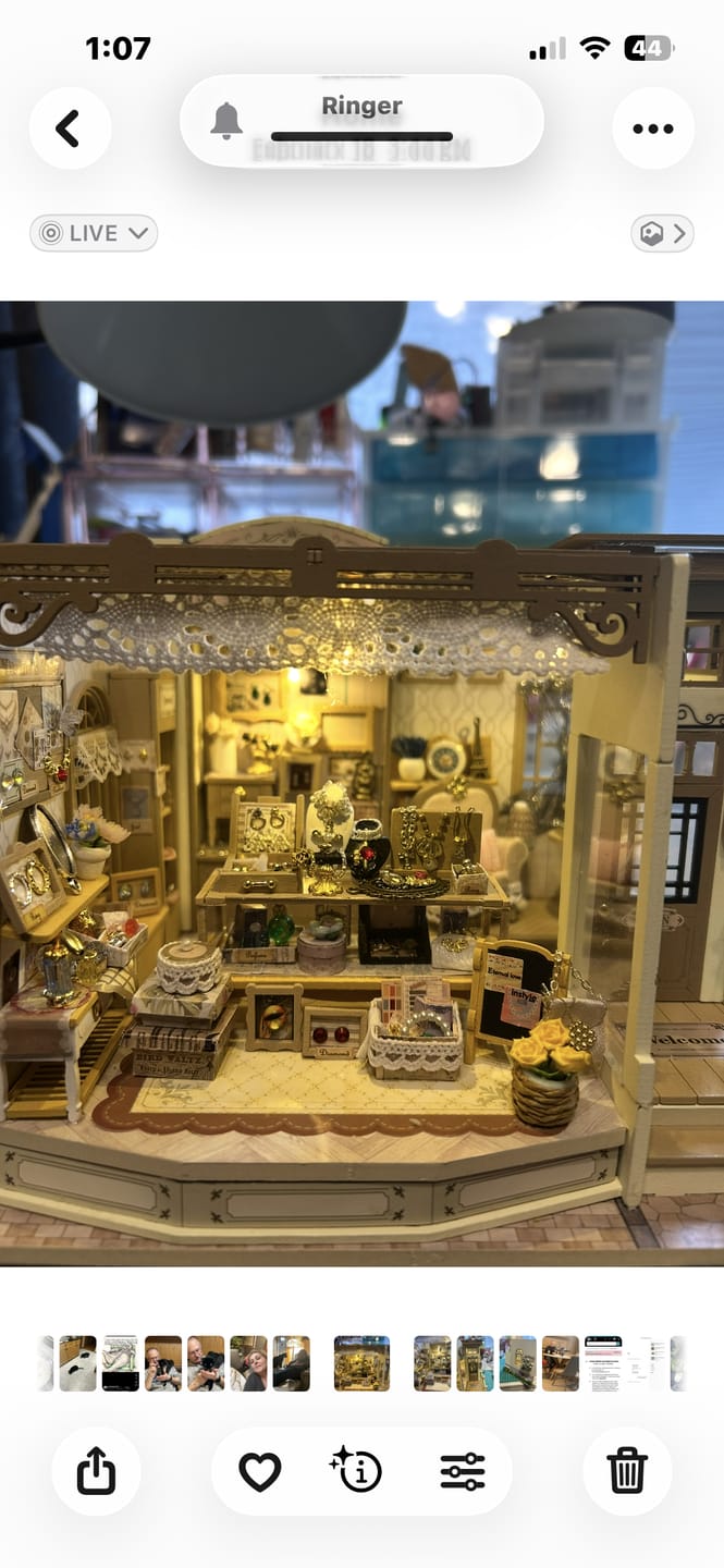 Customer photo review of Vitrine’s Tale DIY Miniature House Kit