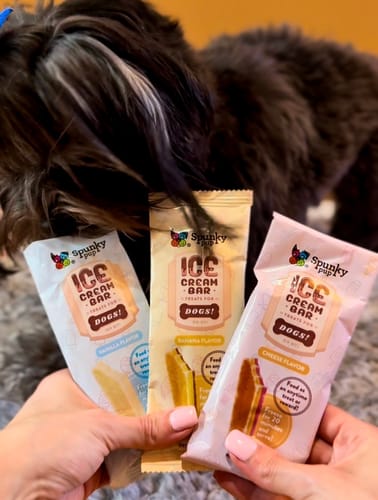 Customer photo review of Ice Cream for Dogs!