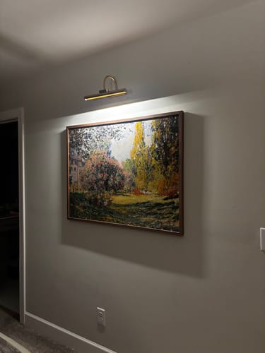 Customer photo review of The Parc Monceau (1876) by Claude Monet