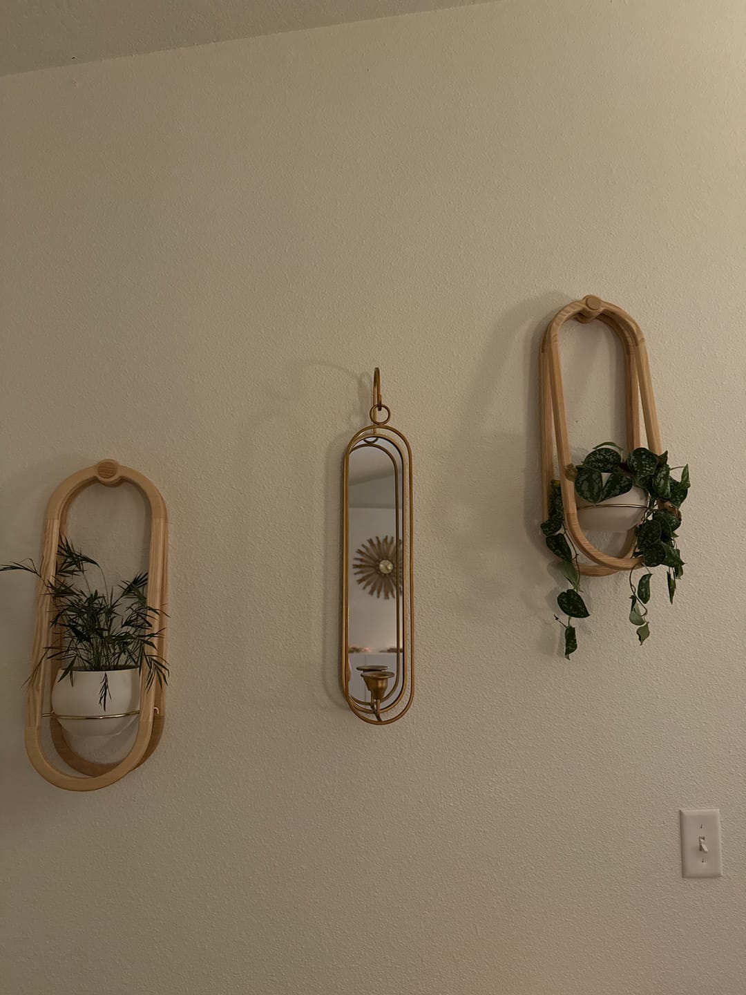 Customer photo review of Frame Wall Planter + Pot Duo