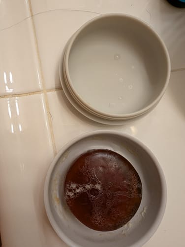 Customer photo review of Round Travel Soap Box - Cloud