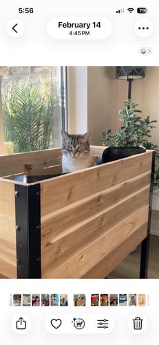 Customer photo review of 18" x 36" Raised Garden Bed - 30" TALL / Select Grade