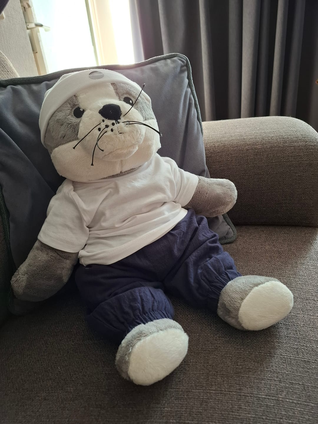 Customer photo review of Lotgenootje Kat 2kg