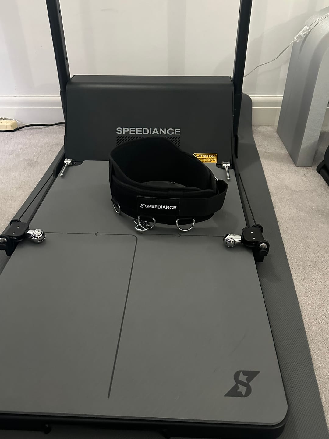 Customer photo review of Squat Belt