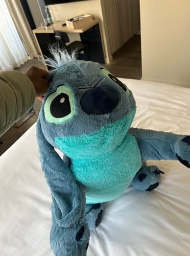 Customer photo review of Giant Stitch XXL