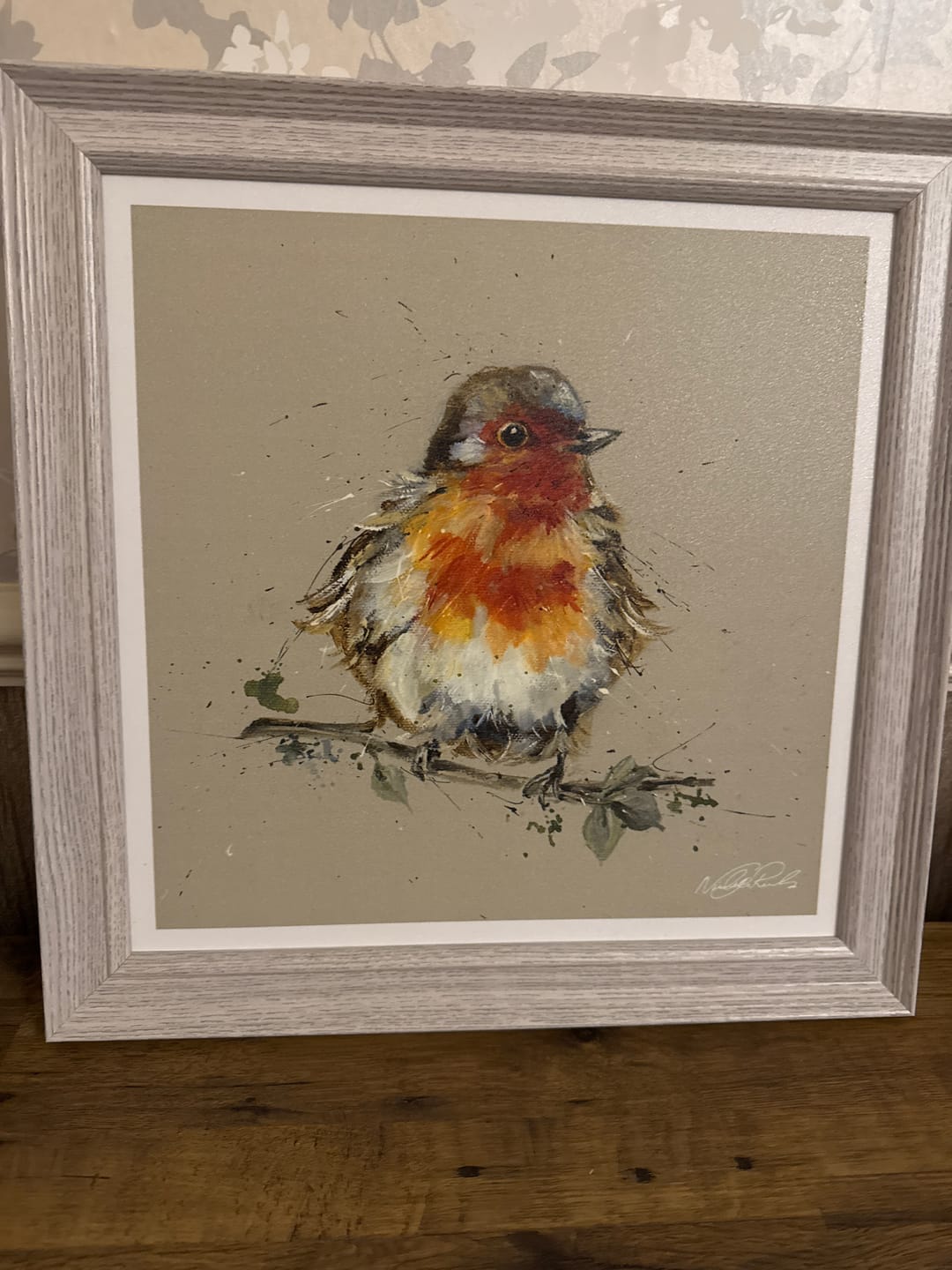 Customer photo review of Red Robin By Nicola Jane Rowles