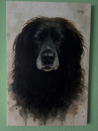 Customer photo review of Dein Haustier als Porträt - Individuelle Leinwand