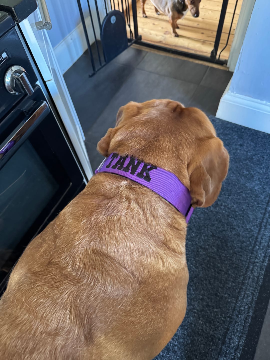 Customer photo review of Personalisation Fee £8.99