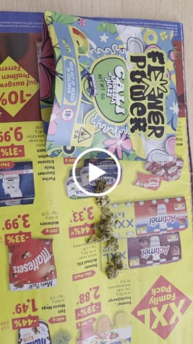 Customer video review of 😶‍🌫️ Amnesia Haze - Power LVL: 5/5