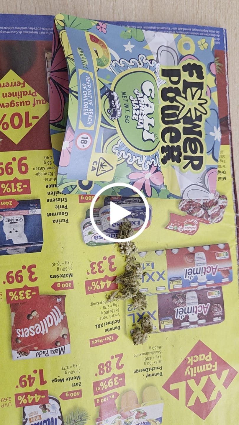 Customer video review of 😶‍🌫️ Amnesia Haze - Power LVL: 5/5