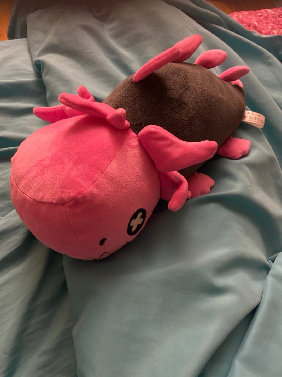 Customer photo review of Rain World - Glowing Pink Lizard Plush