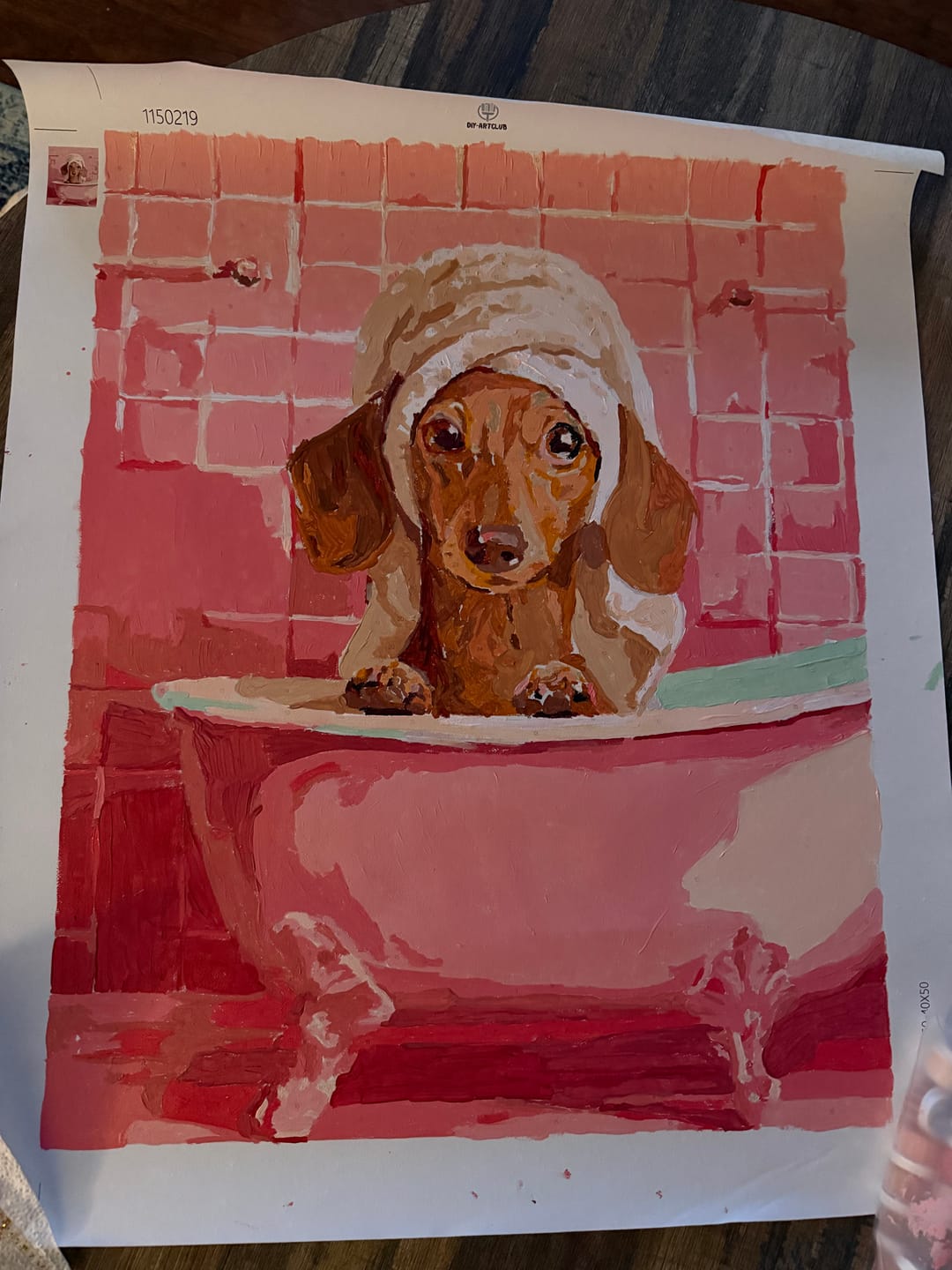 Customer photo review of Dachshund in bath | Paint by Number